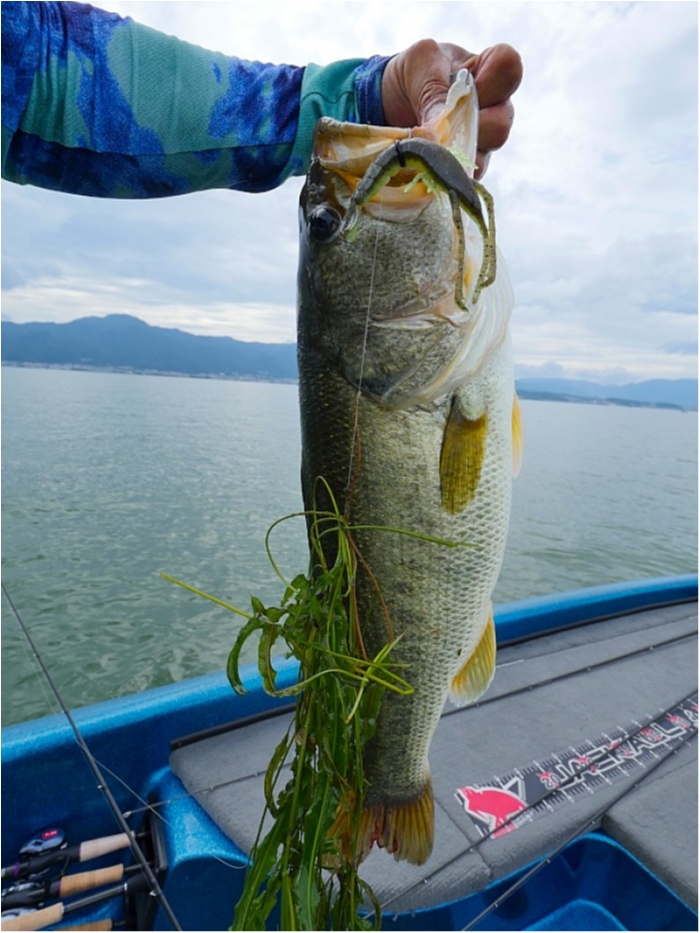 truth  ブログ写真 2018/07/12