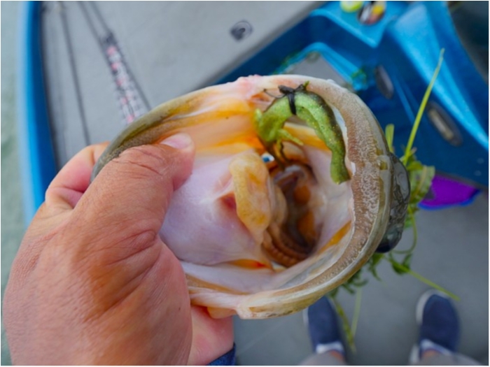 truth  ブログ写真 2018/07/12