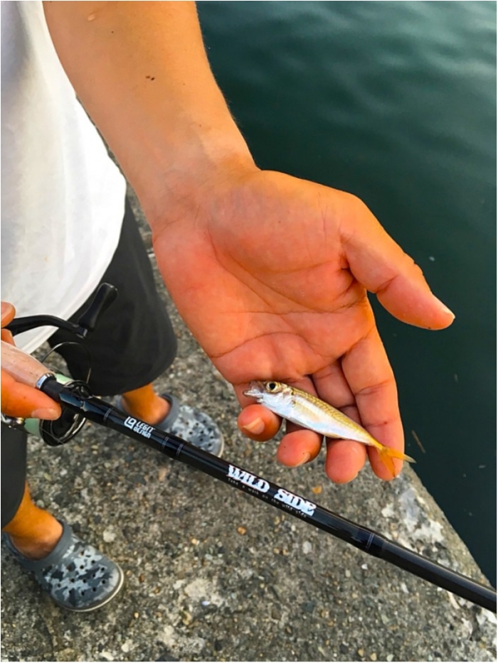 truth ブログ写真 2018/07/16