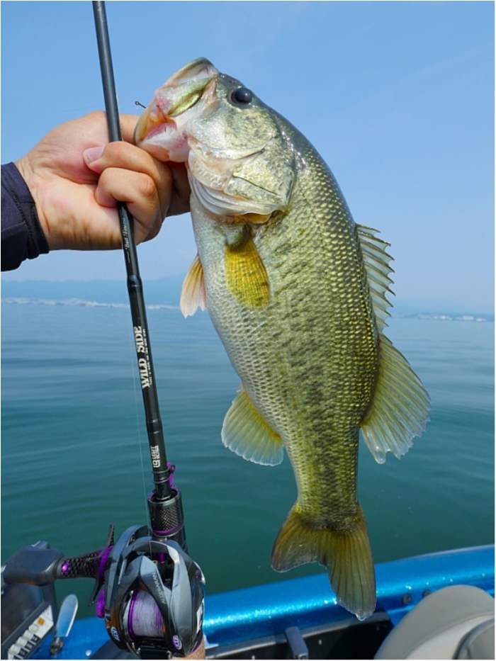 truth  ブログ写真 2018/07/17