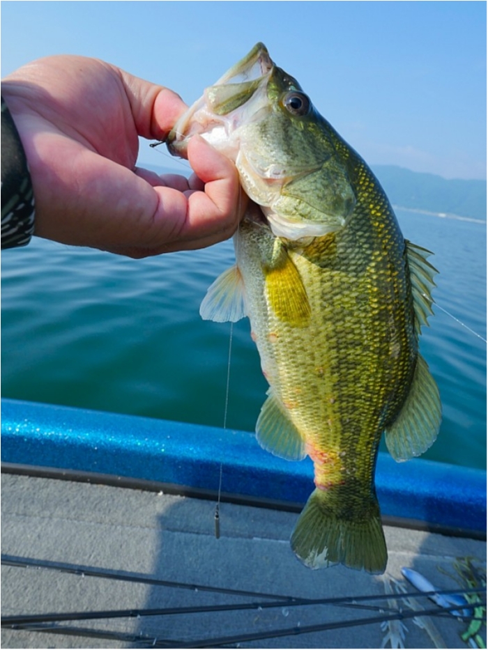 truth  ブログ写真 2018/07/18