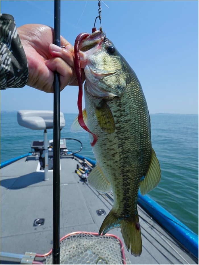 truth  ブログ写真 2018/07/18