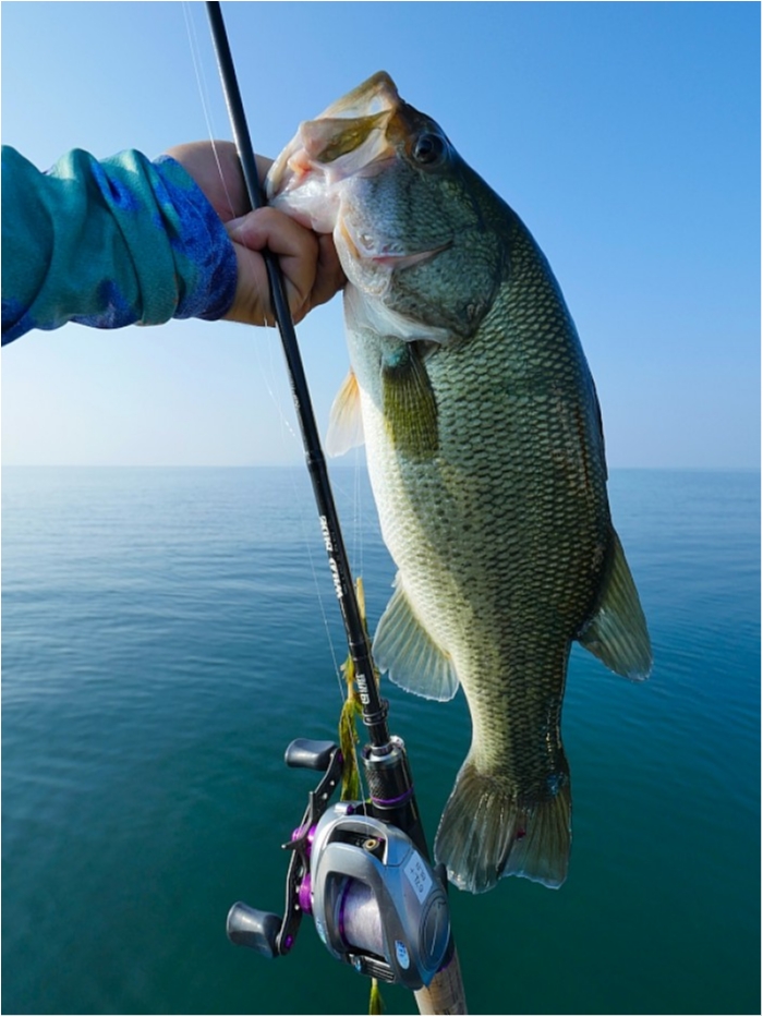 truth  ブログ写真 2018/07/19