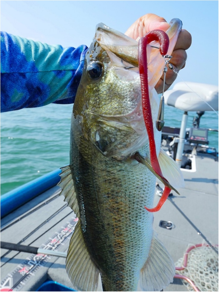 truth  ブログ写真 2018/07/19