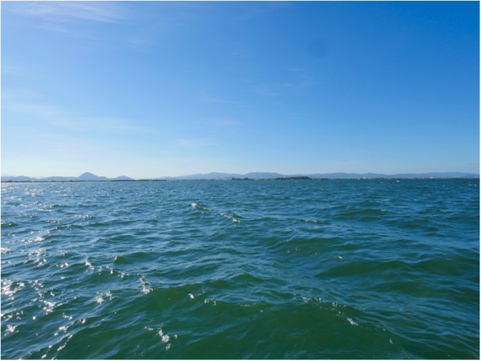 truth ブログ写真 2018/07/22