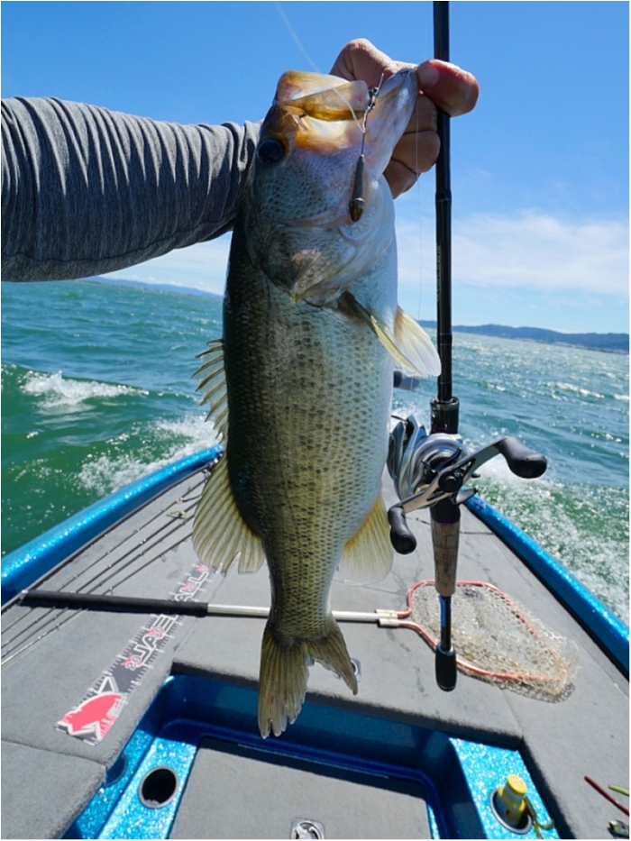 truth ブログ写真 2018/07/22