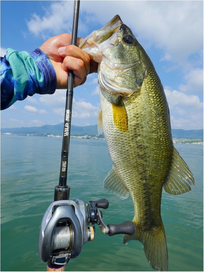 truth  ブログ写真 2018/07/24