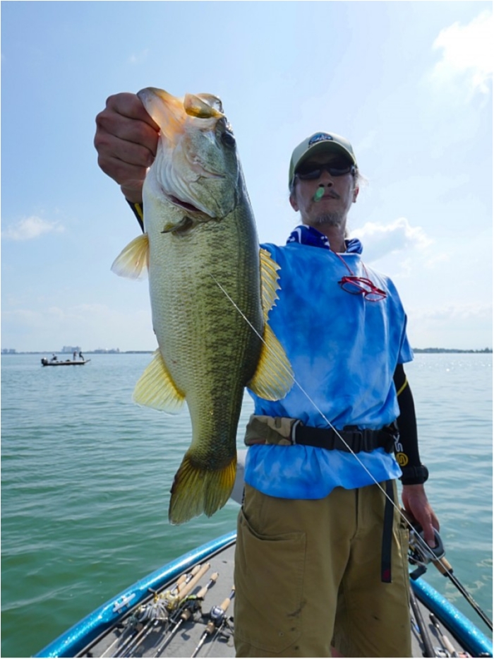 truth  ブログ写真 2018/07/24