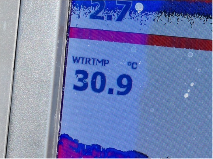 truth  ブログ写真 2018/07/24