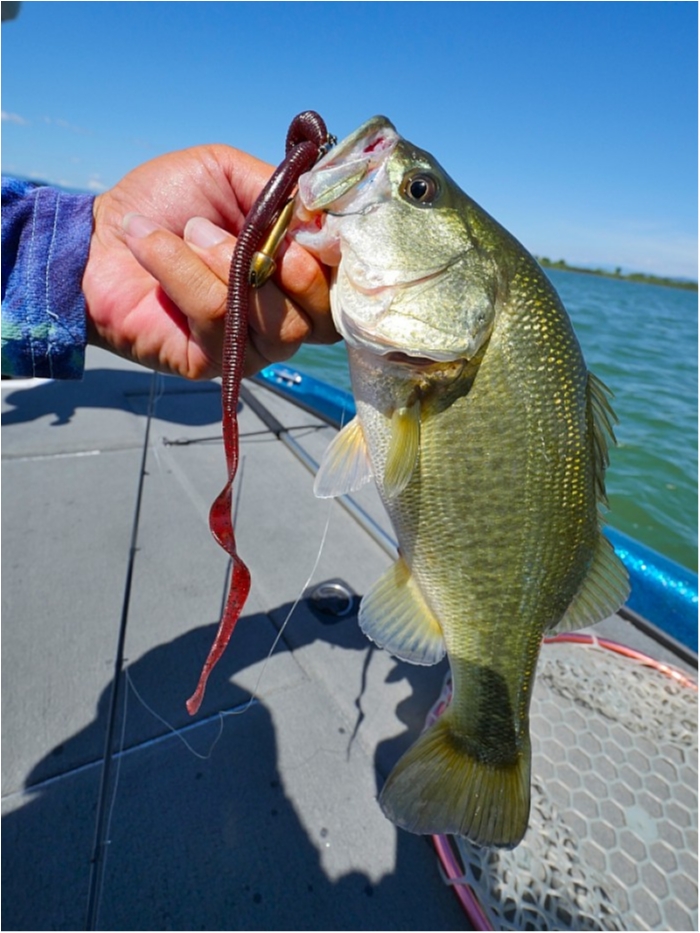 truth ブログ写真 2018/07/24