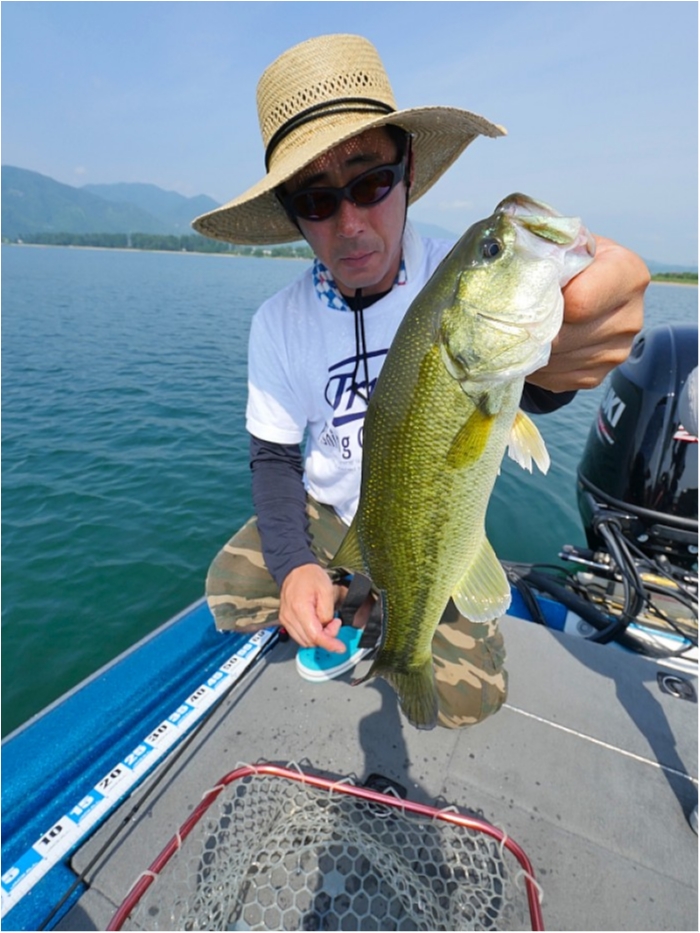 truth  ブログ写真 2018/07/25