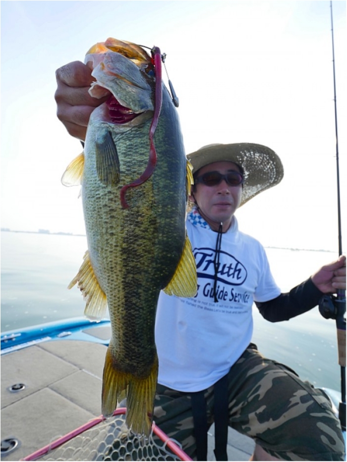 truth  ブログ写真 2018/07/25