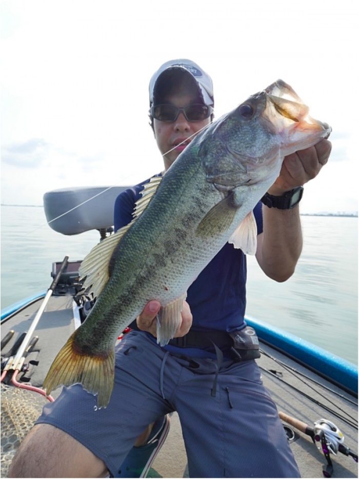 truth  ブログ写真 2018/07/26