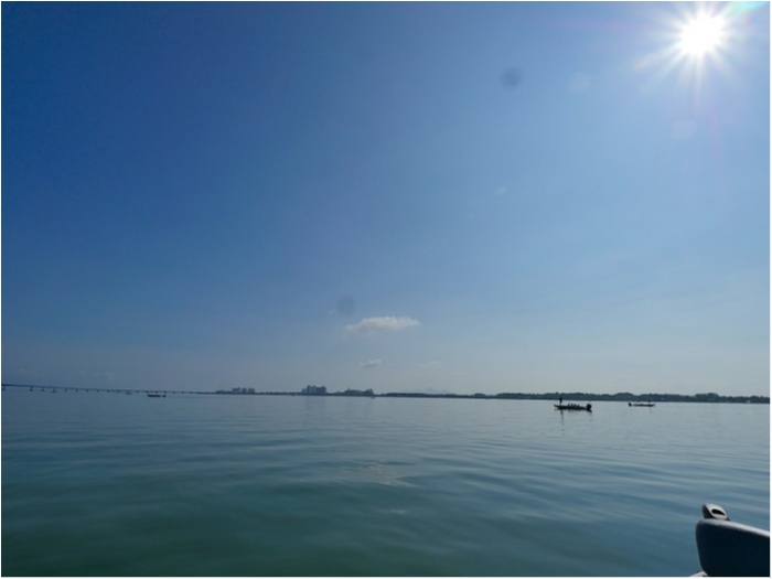 truth  ブログ写真 2018/08/03