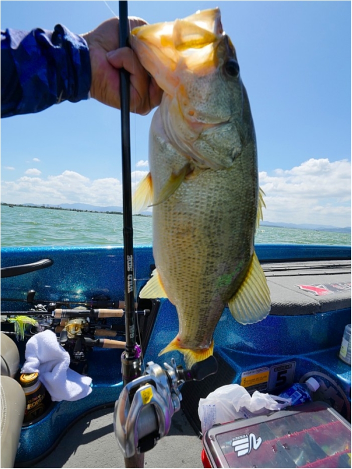 truth  ブログ写真 2018/08/13