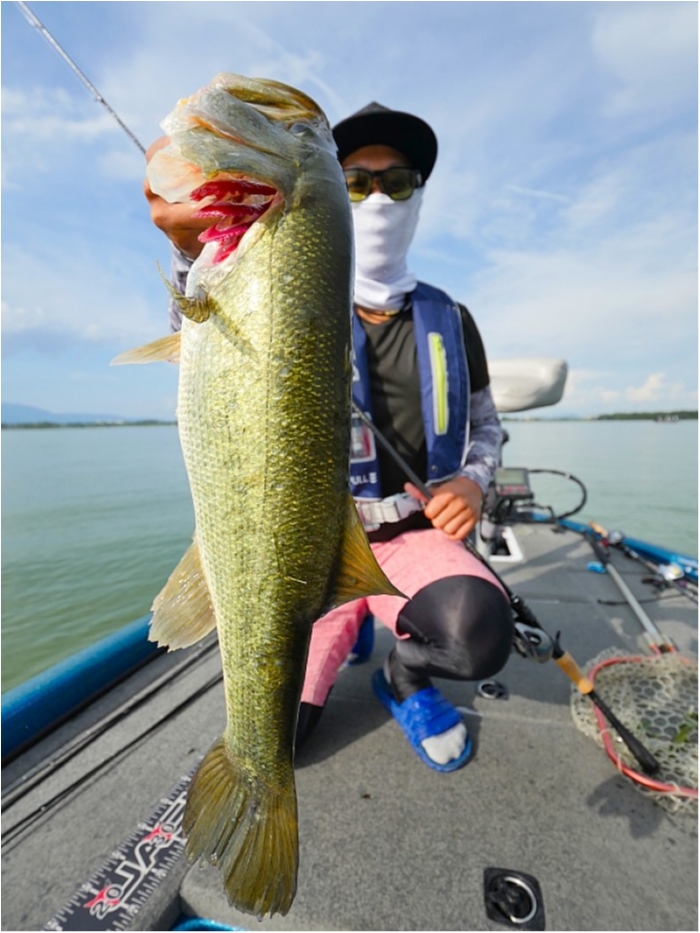 truth  ブログ写真 2018/08/13