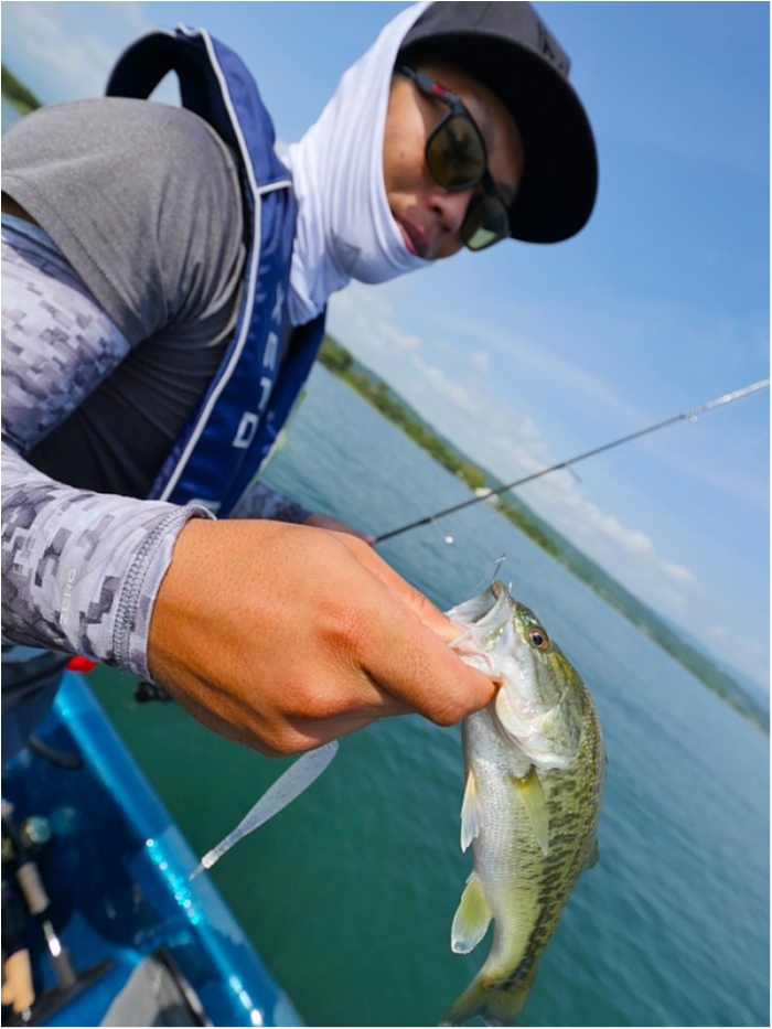 truth  ブログ写真 2018/08/14