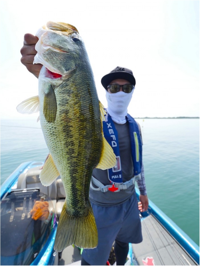 truth  ブログ写真 2018/08/14