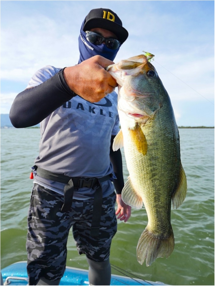 truth  ブログ写真 2018/08/14