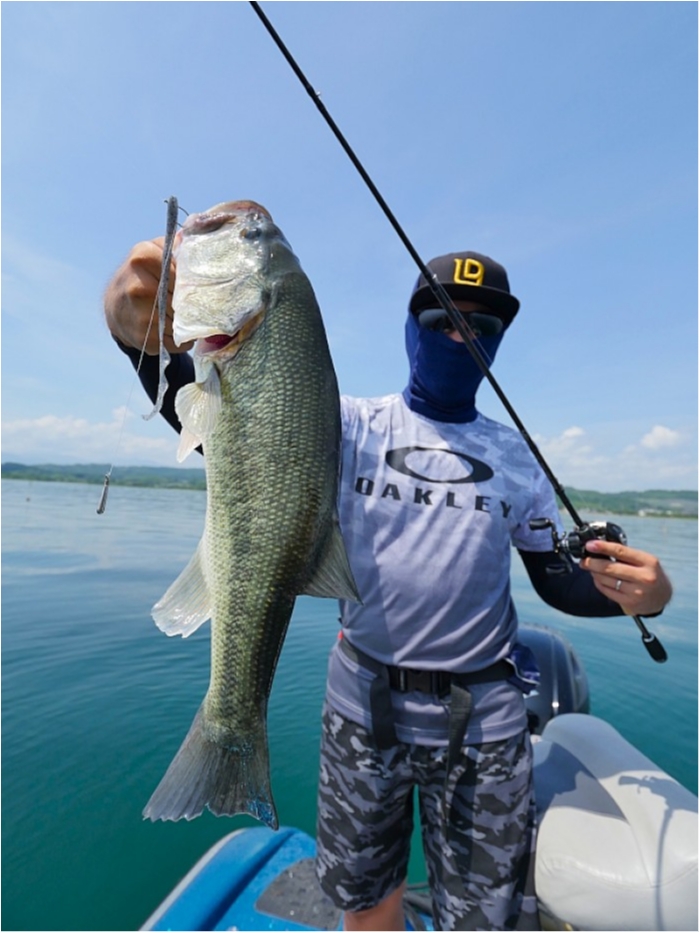 truth  ブログ写真 2018/08/14