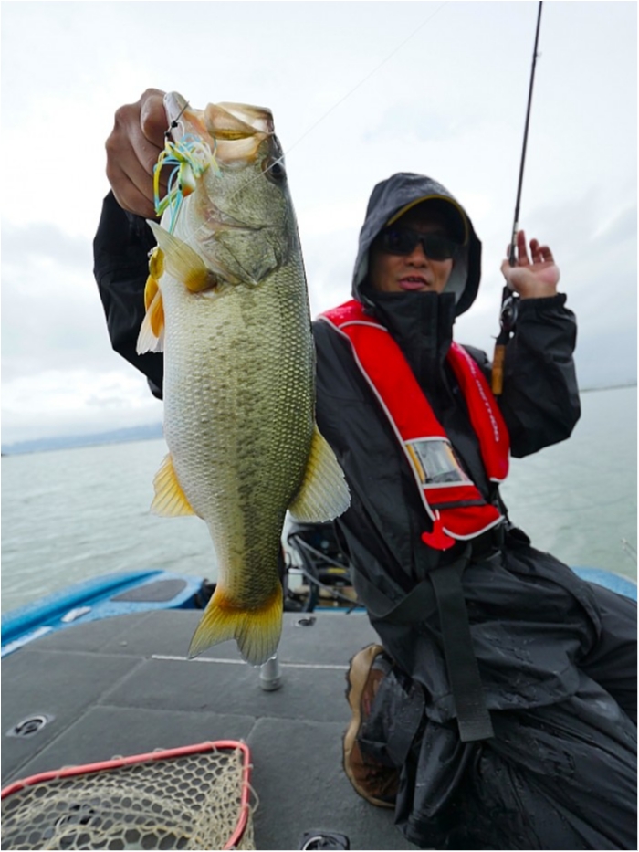 truth  ブログ写真 2018/08/16