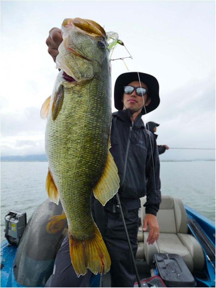 truth  ブログ写真 2018/08/16