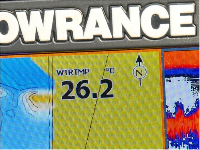 truth  ブログ写真 2018/08/19