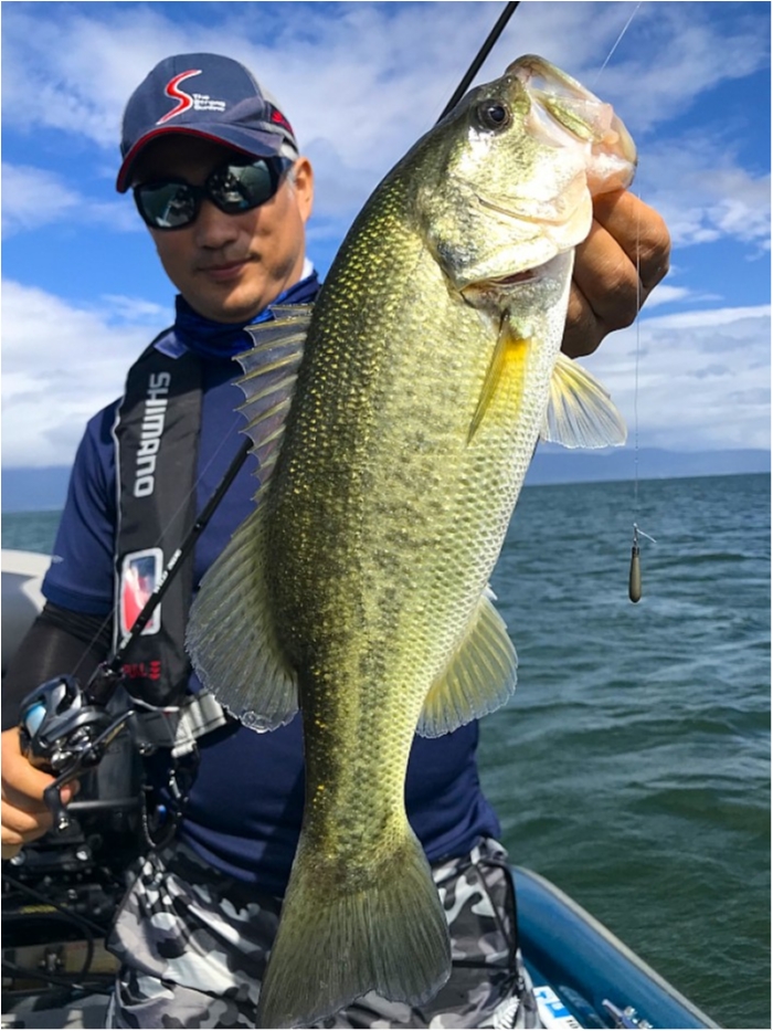 truth  ブログ写真 2018/08/21