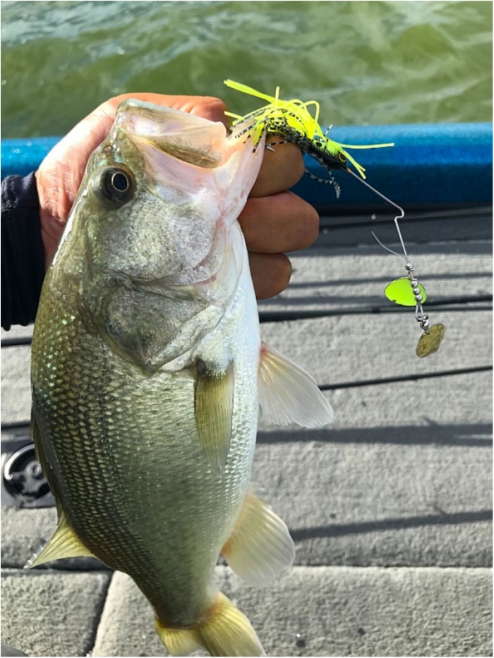 truth  ブログ写真 2018/08/21