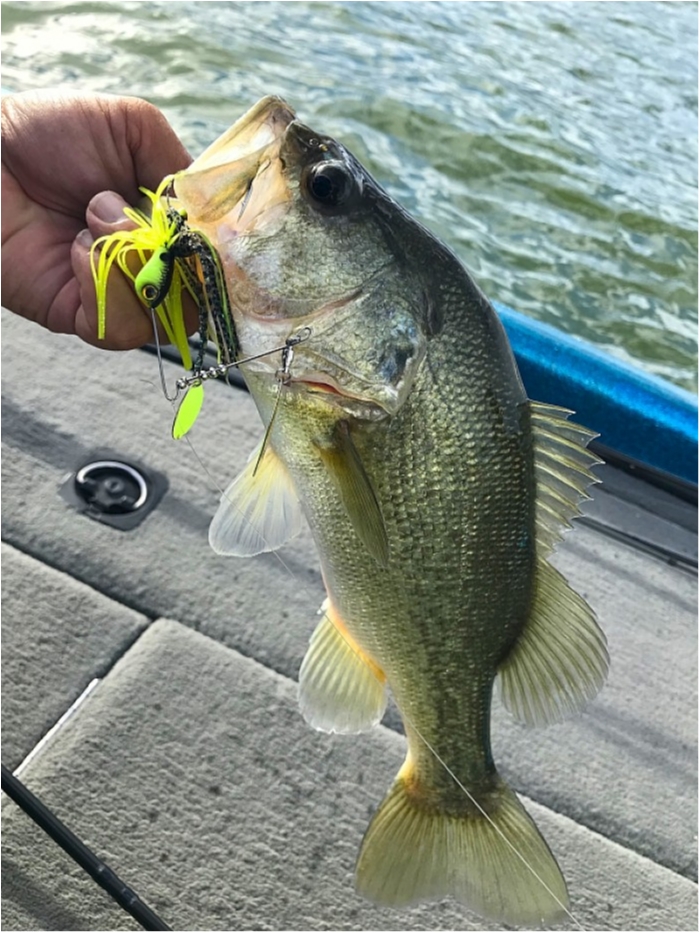 truth  ブログ写真 2018/08/21