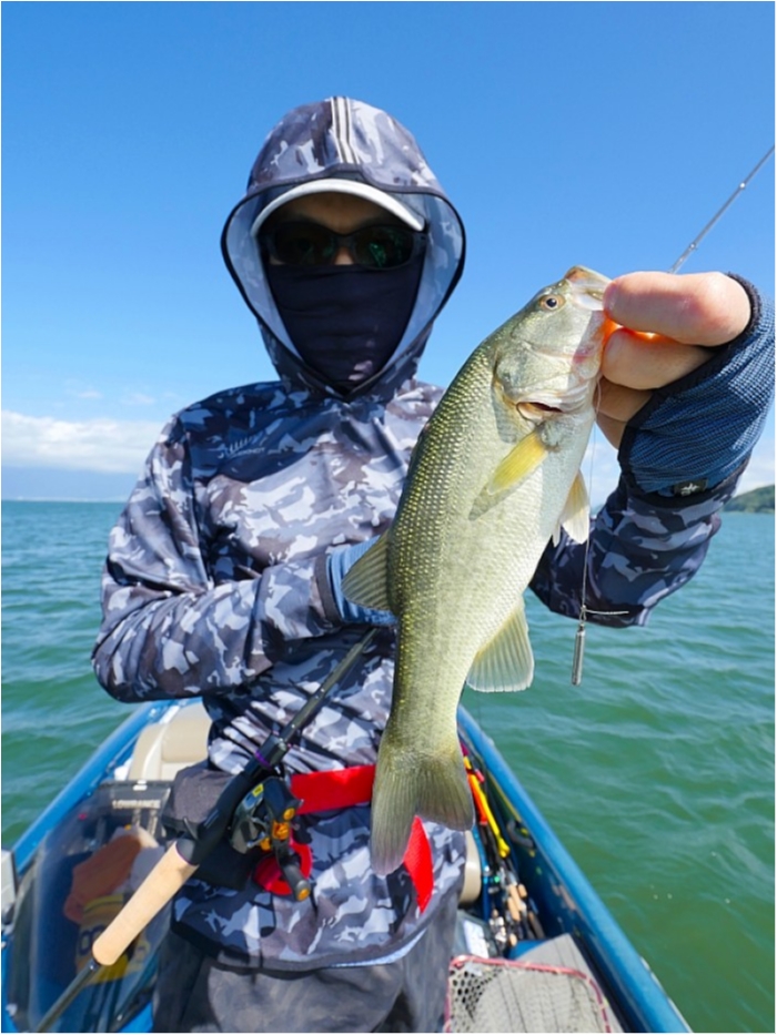 truth  ブログ写真 2018/08/22