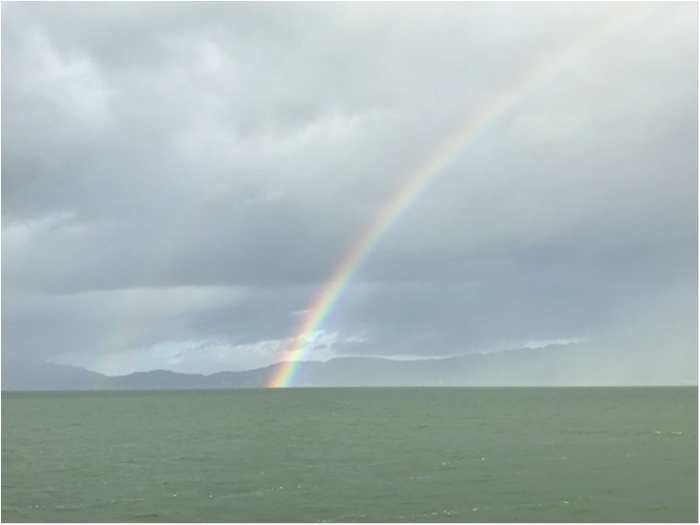 truth  ブログ写真 2018/08/24