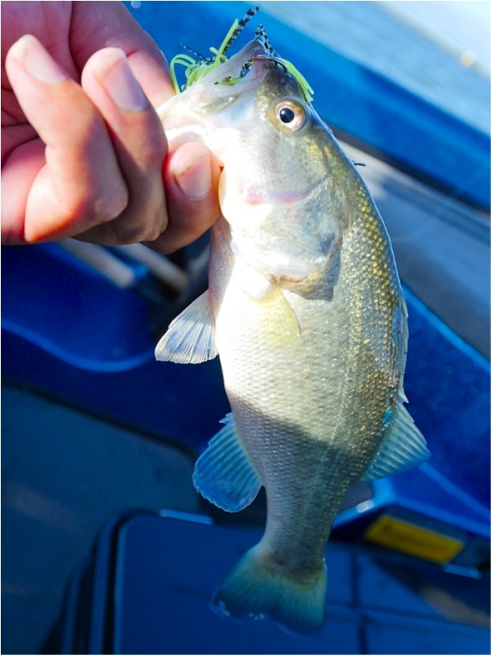 truth  ブログ写真 2018/08/25