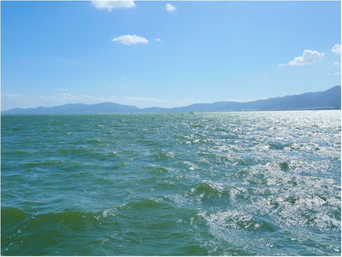 truth  ブログ写真 2018/08/25