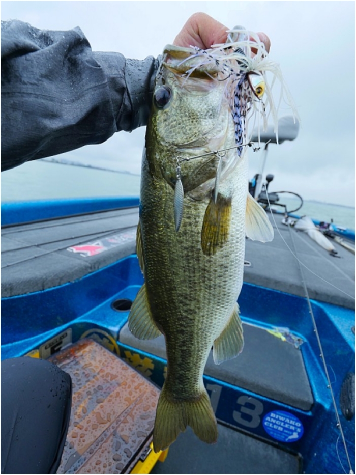 truth  ブログ写真 2018/09/01