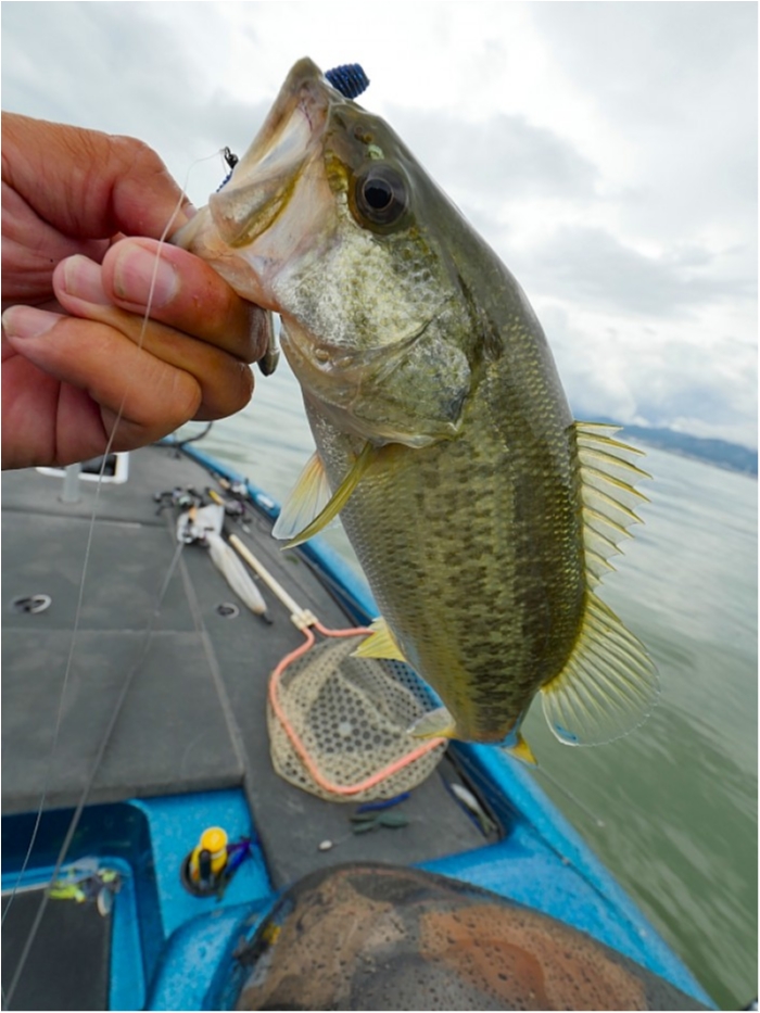 truth  ブログ写真 2018/09/01