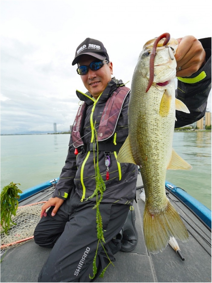 truth  ブログ写真 2018/09/01