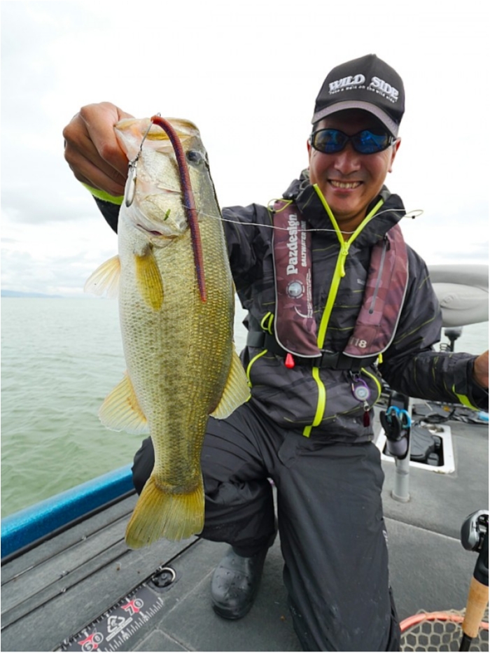 truth  ブログ写真 2018/09/01