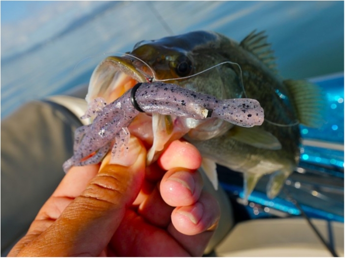 truth  ブログ写真 2018/09/03