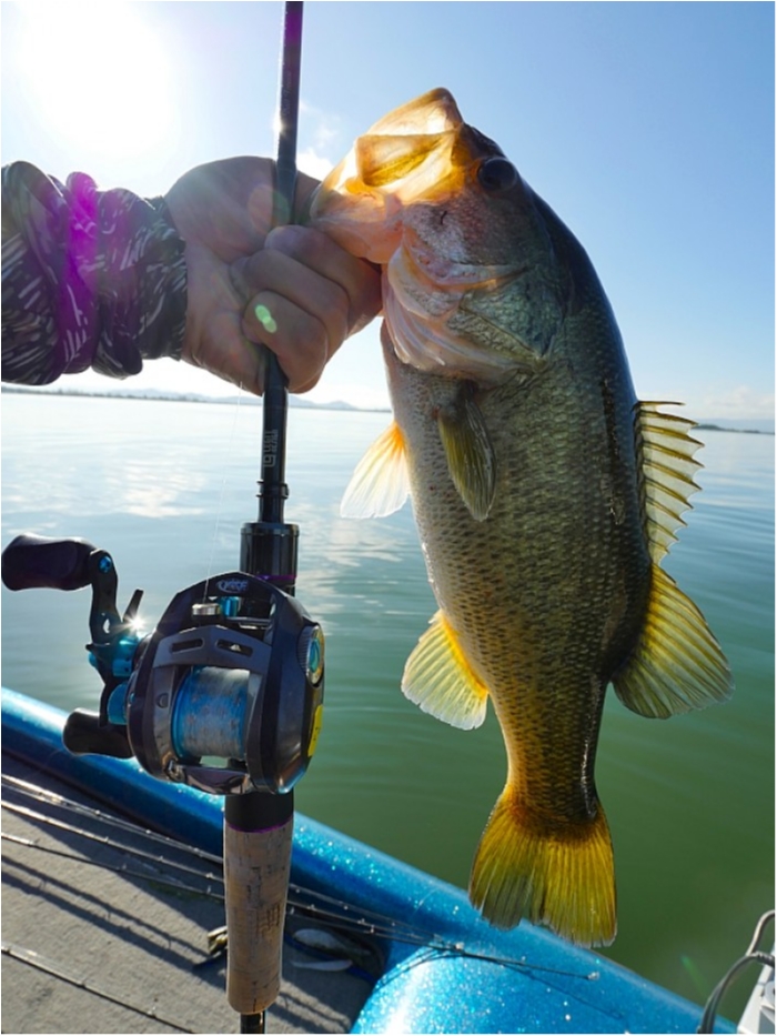 truth  ブログ写真 2018/09/03