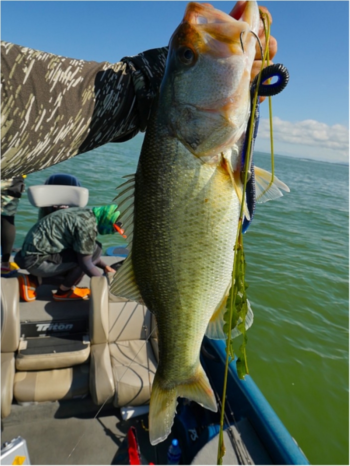 truth  ブログ写真 2018/09/03