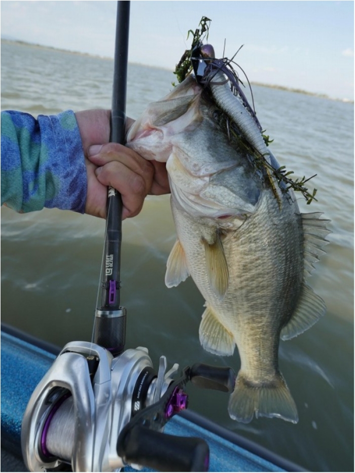 truth  ブログ写真 2018/09/06