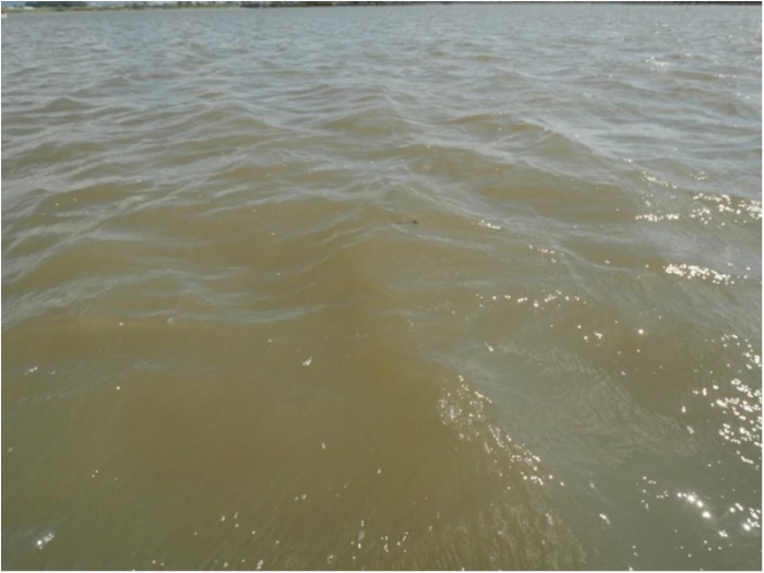 truth  ブログ写真 2018/09/06