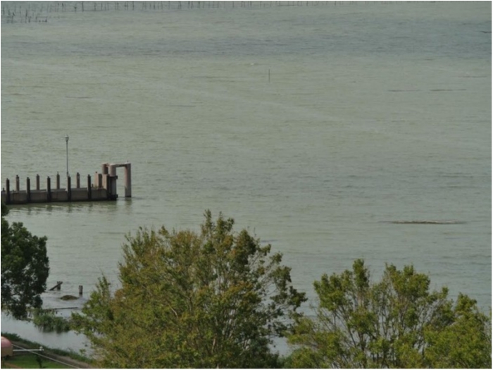 truth  ブログ写真 2018/09/06