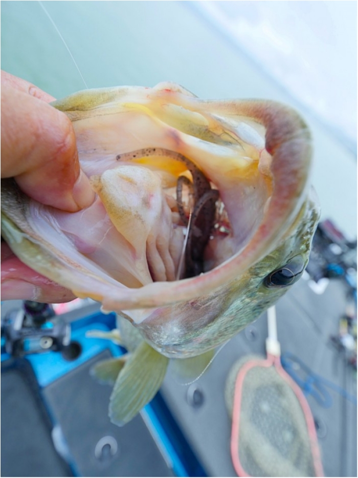 truth  ブログ写真 2018/09/08