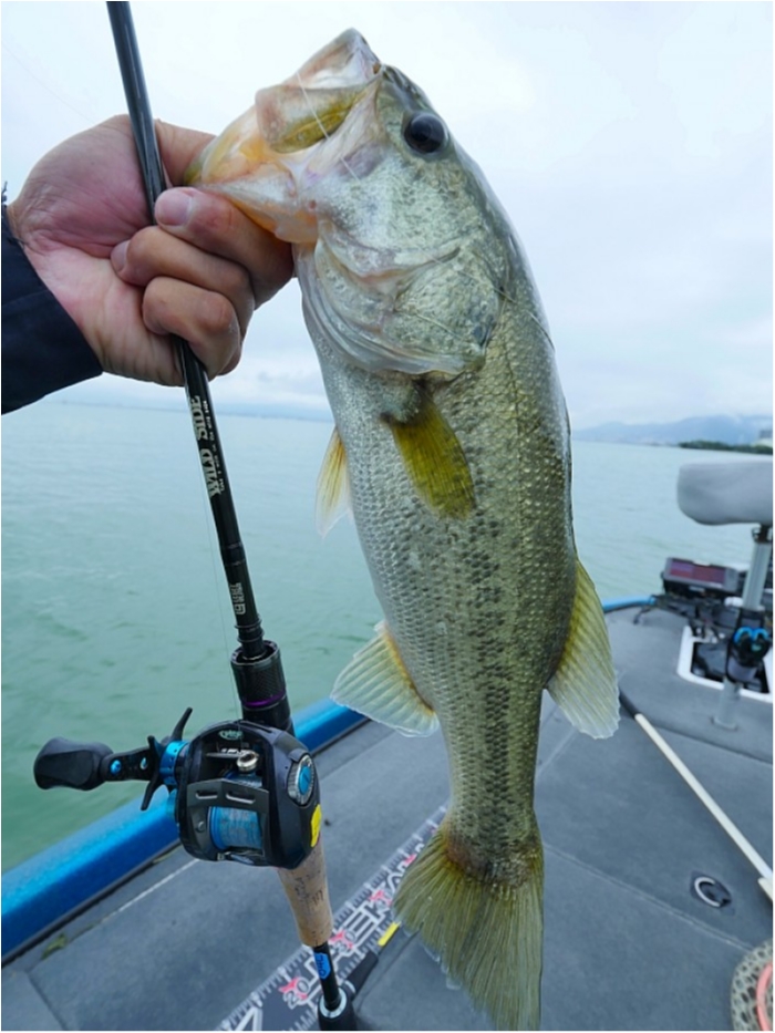 truth  ブログ写真 2018/09/08