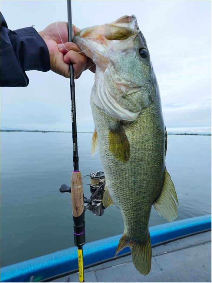 truth  ブログ写真 2018/09/08