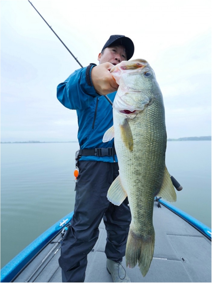 truth  ブログ写真 2018/09/08