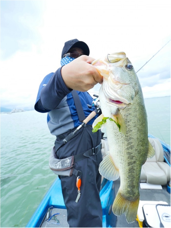 truth  ブログ写真 2018/09/08