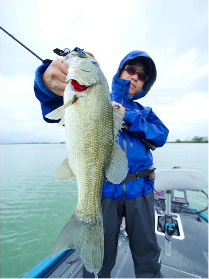 truth  ブログ写真 2018/09/08